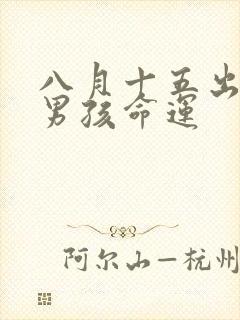 八月十五出生的男孩命运