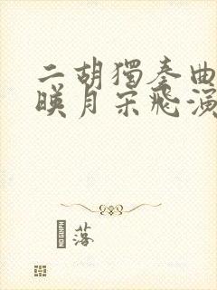 二胡独奏曲二泉映月宋飞演奏