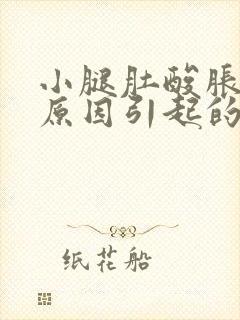 小腿肚酸胀什么原因引起的