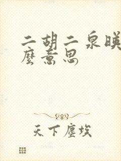 二胡二泉映月什么意思