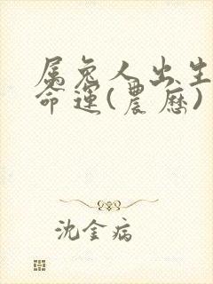 属兔人出生日的命运(农历)封面