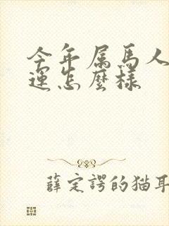 今年属马人的财运怎么样封面