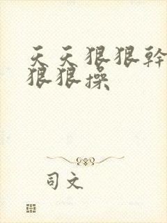 天天狠狠干天天狠狠操