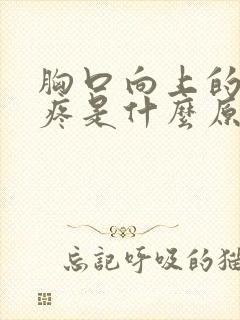 胸口向上的位置疼是什么原因