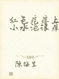 红色疙瘩上面有小水泡很痒