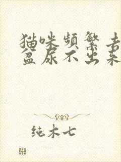 猫咪频繁去猫砂盆尿不出来