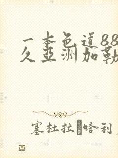 一本色道88久久亚洲加勒比日韩综合精品