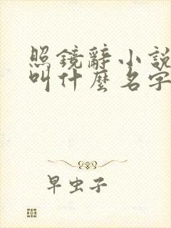 照镜辞小说原著叫什么名字