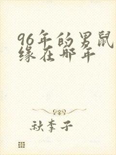 96年的男鼠姻缘在哪年