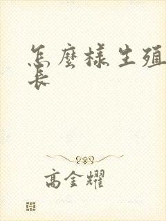 怎么样生殖器延长