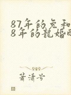 87年的兔和88年的龙婚配封面