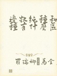 边牧纯种和不纯种有什么区别封面