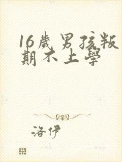 16岁男孩叛逆期不上学