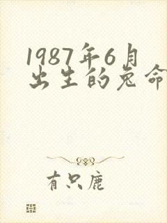 1987年6月出生的兔命运如何