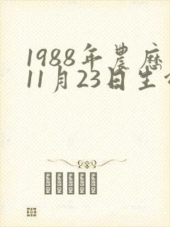 1988年农历11月23日生命运
