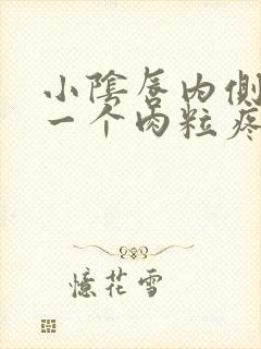 小阴唇内侧长了一个肉粒疼