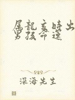 属龙亥时出生的男孩命运