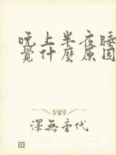 晚上半夜睡不着觉什么原因