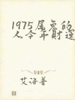 1975属兔的人今年财运怎么样封面