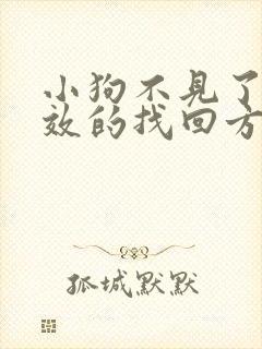 小狗不见了最有效的找回方法