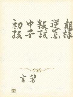 初中叛逆期的男孩子该怎样去沟通教育