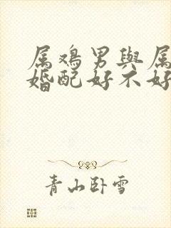 属鸡男与属虎女婚配好不好封面