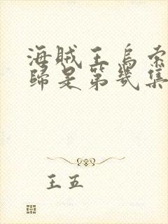 海贼王乌索普回归是第几集封面