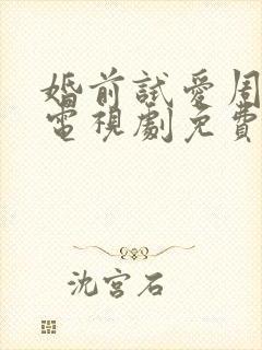 婚前试爱周秀娜电视剧免费