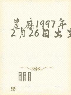 农历1997年2月26日出生男命运封面