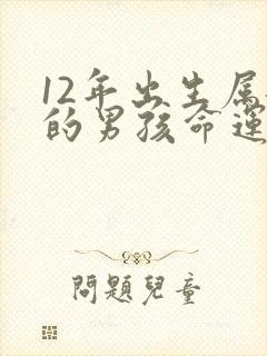 12年出生属龙的男孩命运如何
