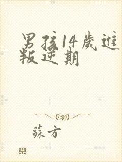 男孩14岁进入叛逆期