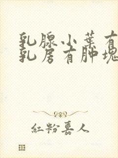 乳腺小叶有增生乳房有肿块