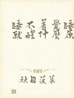 睡不着觉睡一会就醒什么原因