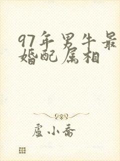 97年男牛最佳婚配属相