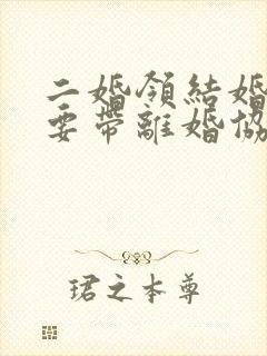 二婚领结婚证需要带离婚协议书吗