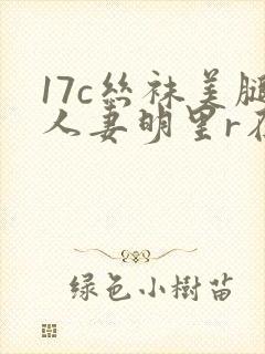 17c丝袜美腿人妻明里r在线