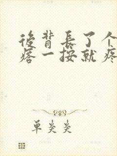 后背长了个硬疙瘩一按就疼封面