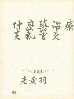 什么药治疗慢性支气管炎