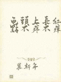 龟头上长红色的点不疼不痒封面