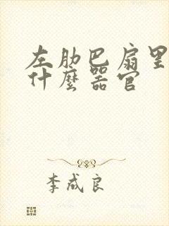 左肋巴扇里面是什么器官