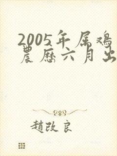 2005年属鸡农历六月出生命运