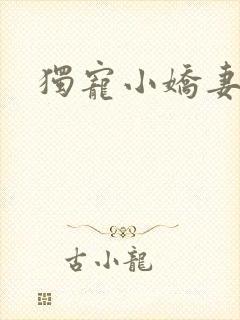 独宠小娇妻封面