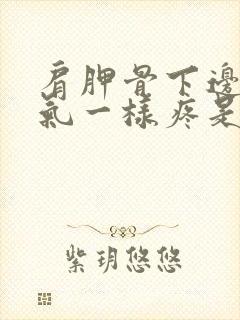 肩胛骨下边像岔气一样疼是怎么回事封面