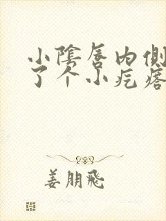 小阴唇内侧上长了个小疙瘩痒