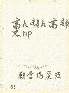 高h超h高辣h文np