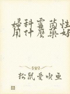 妇科霉菌性阴炎用什么药好