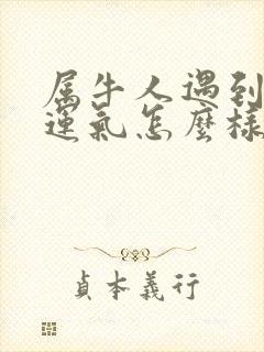 属牛人遇到蛇年运气怎么样