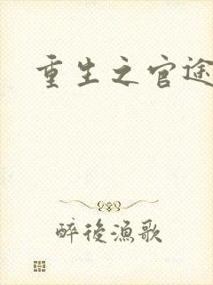 重生之官途辉煌