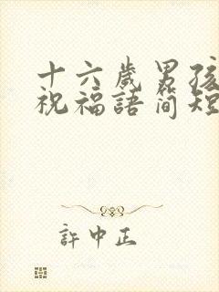 十六岁男孩生日祝福语简短