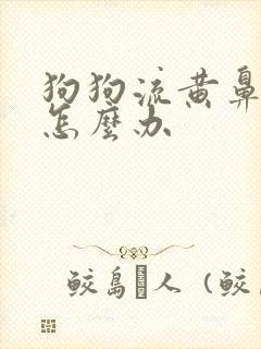 狗狗流黄鼻涕了怎么办